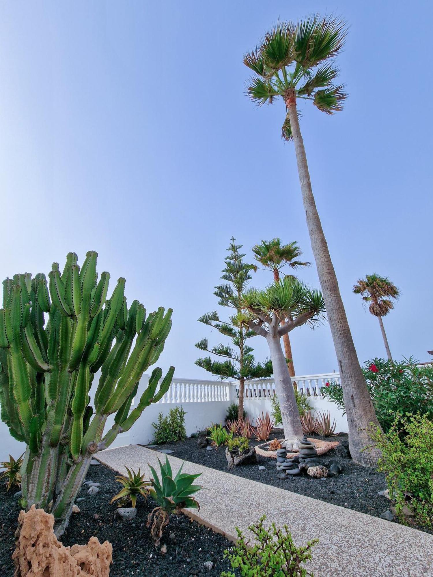 Villa La Maja Beachfront Corralejo Exterior foto